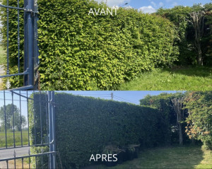 Photo de galerie - Entretien espaces verts 
