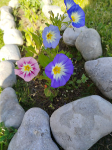 Photo de galerie - Paysagiste - Aménagement du jardin