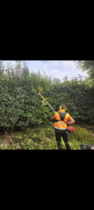 Photo de galerie - Taille de haies et d'arbustes