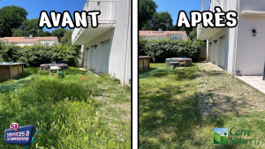 Photo de galerie - Avant Après Débroussaillage et tonte de pelouse