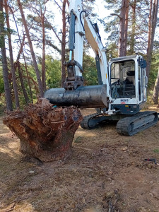Photo de galerie - Enlèvement d'une souches de chêne centenaire tombé pendant les tempêtes .