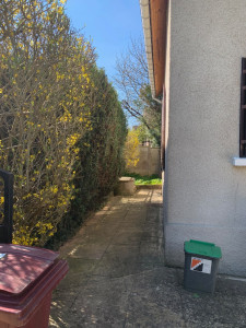 Photo de galerie - Taille de haies et d'arbustes