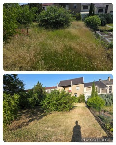 Photo de galerie - Débroussaillage + evacuation 