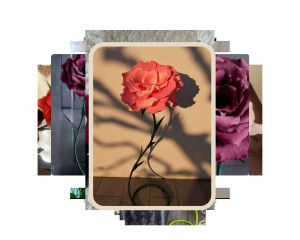 Photo de galerie - Fleurs réalisée entièrement à la main realiable dans toutes les couleurs pour un visuel unique pour coin photo/ décoration vitrine / déco boutique/ allée des mariés... 