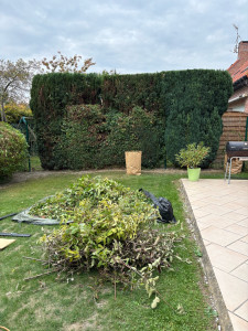 Photo de galerie - Taille de haies et d'arbustes