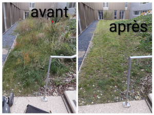 Photo de galerie - Tonte 