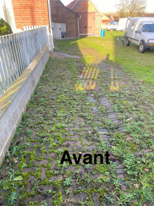 Photo de galerie - Tonte de pelouse - Débroussaillage