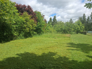 Photo de galerie - 600m²