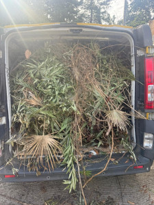 Photo de galerie - Déchets verts 