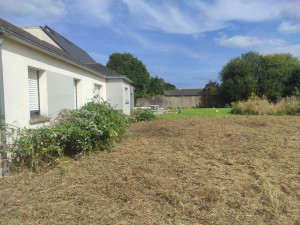 Photo de galerie - Tonte de pelouse - Débroussaillage