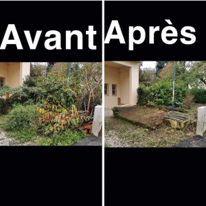 Photo de galerie - Elagage et coupe d'arbres