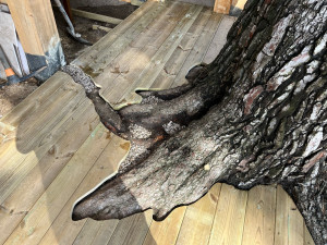 Photo de galerie - Pose, de Terasse