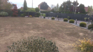 Photo de galerie - Paysagiste - Aménagement du jardin