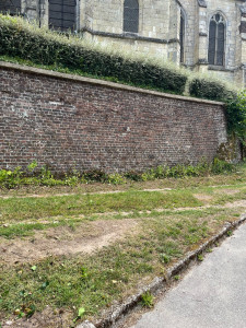 Photo de galerie - Enlèvement lierre 