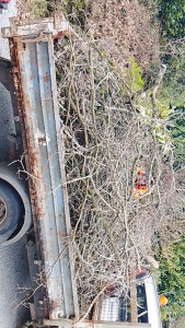 Photo de galerie - Très professionnel 