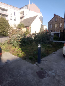 Photo de galerie - Paysagiste - Aménagement du jardin