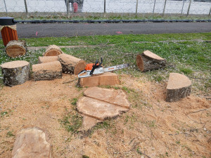 Photo de galerie - Démontage / Abattage 