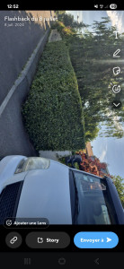 Photo de galerie - Tailles d'une haie avec évacuation des branchages 