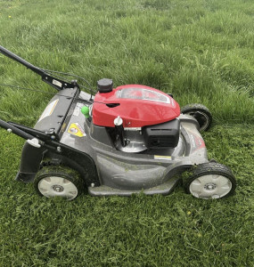 Photo de galerie - Tonte pelouse 