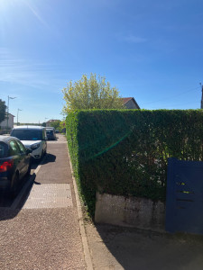 Photo de galerie - Haie