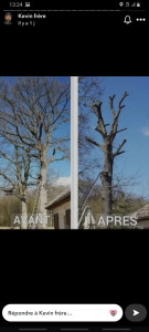 Photo de galerie - élagage d'arbre 