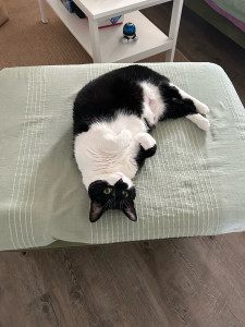 Photo de galerie - Simone - Visite tous les jours ! Je la garde pour la 3ème année 