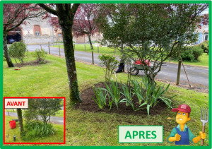 Photo de galerie - Désherbage - Mars 2025