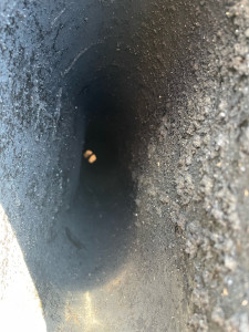 Photo de galerie - Ramonage - Fumiste