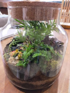 Photo de galerie - Composition jardin en bocaux