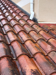 Photo de galerie - Après brossage et traitement fongicide et hydrofuge