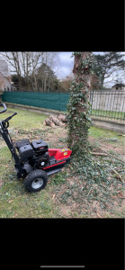 Photo de galerie - Elagage et coupe d'arbres