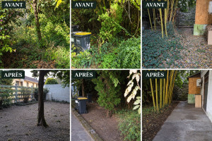 Photo de galerie - Réalisation complète d’un jardin laissé à l’abandon : débroussaillage, nettoyage des espaces, taille et remise en ordre de la végétation, nettoyage des abords et évacuation des déchets verts.
