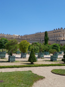 Photo de galerie - élagage,évacuation etc