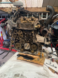 Photo de galerie - Recalage et changement de la distribution.