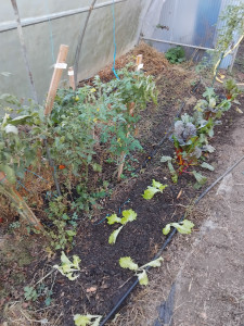 Photo de galerie - Jardinier