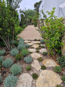 Photo de galerie - Paysagiste - Aménagement du jardin