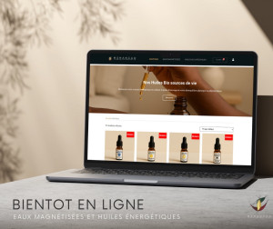 Photo de galerie - Ecommerce