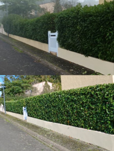 Photo de galerie - Avant/Après 