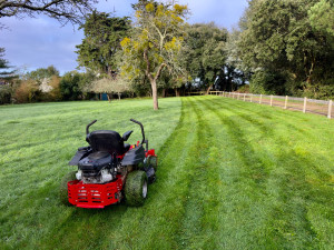 Photo de galerie - Tonte de pelouse 
