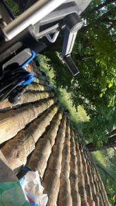 Photo de galerie - Couverture - Toiture