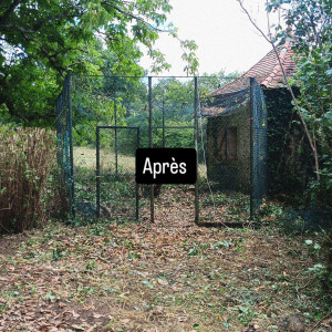 Photo de galerie - Elagage et coupe d'arbres