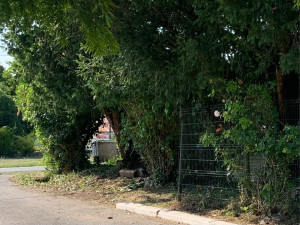 Photo de galerie - Débroussaillage et taille d’arbustes 