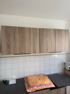 Photo de galerie - Armoire de cuisine 