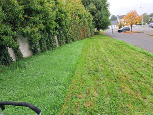 Photo de galerie - Tonte de pelouse - Débroussaillage