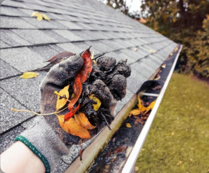 Photo de galerie - Bricolage et multi services