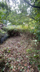 Photo de galerie - Photo prise après 2 heures de travail.