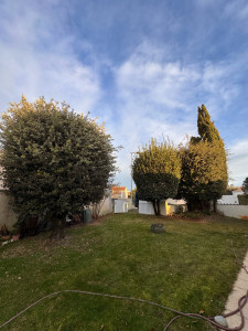 Photo de galerie - Taille de haies et d'arbustes