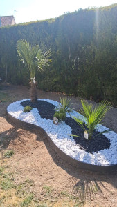 Photo de galerie - Création de massif