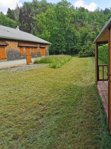 Photo de galerie - Tonte de pelouse - Débroussaillage