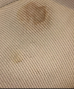 Photo de galerie - Avant nettoyage shampouineuse 